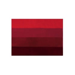 Spirella 7610583161680 tappeto e tappetini da bagno 55 x 65 cm
