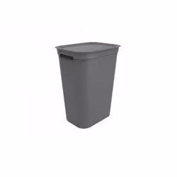 Rotho Brisen, 50 L, Rettangolare, Plastica, Antracite, Manuale, 340 mm