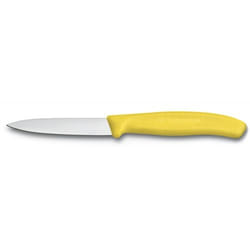 Victorinox SwissClassic 6.7606 Acciaio inox Spelucchino