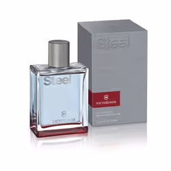 Victorinox Steel 100 ml Uomo - Vista aggiuntiva 6