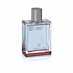 Victorinox Steel 100 ml Uomo - Vista aggiuntiva 7
