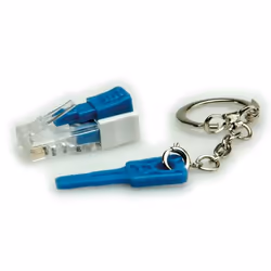 ROLINE Lockable RJ45 Plug with Key, Trasparente