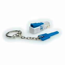 ROLINE Lockable RJ45 Plug with Key cavo di rete Trasparente