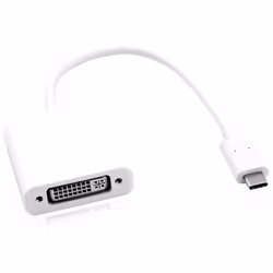 ROLINE 12.03.3205, 0,1 m, USB tipo-C, DVI-D, Maschio, Femmina, Dritto