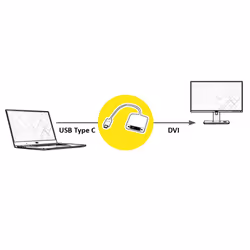 ROLINE 12.03.3205 cavo e adattatore video 0,1 m USB tipo-C DVI-D Argento, Bianco