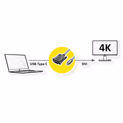 ROLINE 11045831 2 m DVI-D USB tipo-C Nero - Vista aggiuntiva 5