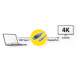 ROLINE 11045845 1 m USB tipo-C DisplayPort Nero - Vista aggiuntiva 5