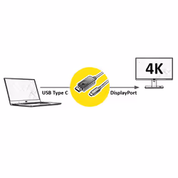 VALUE 11.99.5846 cavo e adattatore video 2 m DisplayPort USB tipo-C Nero