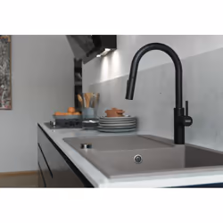 Franke 115.0575.968 rubinetto Nero