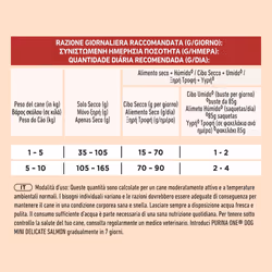 Purina ONE 12511356 cibo secco per cani 800 g Adulto Riso, Salmone - Vista aggiuntiva 3
