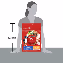 Purina ONE Medium / Maxi > 10kg Adult Ricco in Pollo con Riso (2,5 kg) - Vista aggiuntiva 4