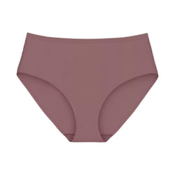 Triumph Shape Smart Maxi Brief Boxer corto Marrone