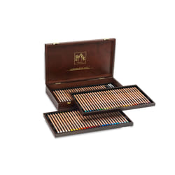 Caran d-Ache 6901.476 pastello colorato Multi 80 pz
