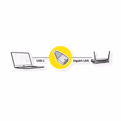 ROLINE 12.02.1111 adattatore per inversione del genere dei cavi USB Type C RJ-45 Nero, Oro