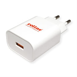 ROLINE 19111061 Universale Bianco AC Ricarica rapida Interno