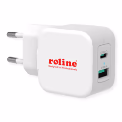 ROLINE 19111052, Interno, AC, 12 V, Bianco