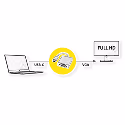 ROLINE Display Adapter USB Type C - VGA