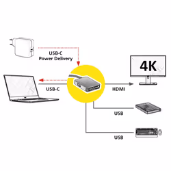 ROLINE 12.02.1120 replicatore di porte e docking station per laptop Cablato USB 3.2 Gen 1 (3.1 Gen 1) Type-C Oro