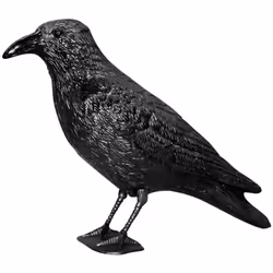 Dettagli tecnici Adatto per (Killer insetti) uccelli, colombi Adatto per... (interno/esterno) Interno/esterno Colore Nero Dim ...