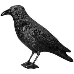 Swissinno - raven Cornacchia Principio di funzionamento Dissuasore 1 pz.
