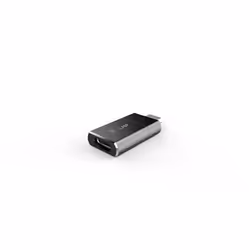 LMP 17219 adattatore per inversione del genere dei cavi USB C Argento