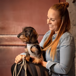 Curli Air-Mesh S Viola Poliestere Cane Giacca - Vista aggiuntiva 2