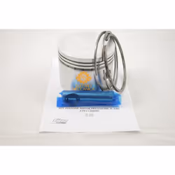 Kit Pistone Bassa Pressione D.140 per Gruppi Pompanti Fiac AB 1000 - AB 1500 codice nuovo 1124290112 codice originale 4291120 ...