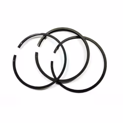 Kit Segmenti d.47 Alta Pressione per Gruppi Pompanti Fiac diametro 47 mm spessore fasce 1,5 mm spessore raschiaolio 3 mm codi ...