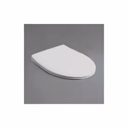 Sedile Coprivaso Lft 006 Con Cerniere Rallentate Spazio Bianco