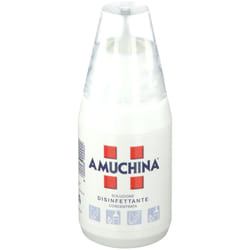 Amuchina 100% Concentrata 250 ml