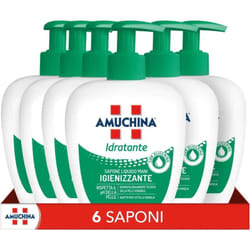 Amuchina - Sapone Liquido Idratante 250 ml, Confezione da 6 Pezzi