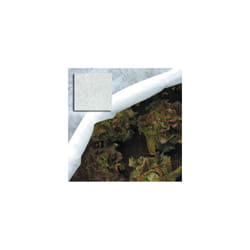 Telo Protezione Ortaggi Rotolo Tnt H1,6x250mt Papillon