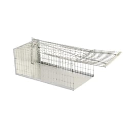 Papillon 99537 trappola per insetti infestanti