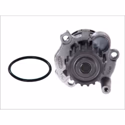 Pompa del refrigerante MAGNETI MARELLI 352316171180