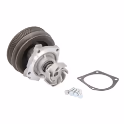 Pompa dell'acqua MAGNETI MARELLI 352316170287