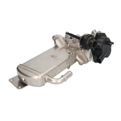 Valvola EGR MAGNETI MARELLI 571822112086