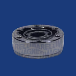 Indice: 302009100006. Lato montaggio: Assale anteriore. Numero del Produttore: 302009100006. Produttore: MAGNETI MARELLI.