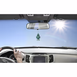 ARBRE MAGIQUE 8001365055003 cura dell'aria Auto Carta