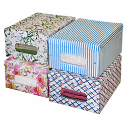Misterpack Scatola in PVC dimensioni 38.5 x 50 x 24 cm - Vista aggiuntiva 5
