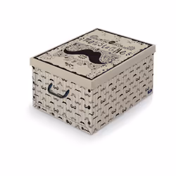 Domopak Living Scatola con maniglie - Vista aggiuntiva 4
