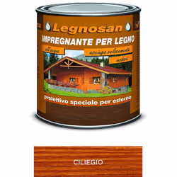 Legnosan è un impregnante atossico ed inodore ad aspetto semi-lucido, appositamente ideato per il trattamento di protezione e ...