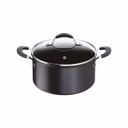 Tempra Lagostina 12165031220 Forno olandese con coperchio in vetro. . Un utensile da cucina ad alte prestazioni per la cucina ...