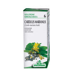 Specchiasol Cardo Mariano 6 Tintura Madre 50ml