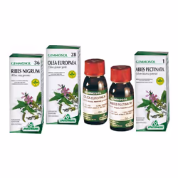 Specchiasol Gemmosol è un integratore naturale alla betulla per drenare, depurare e disintossicare l'organismo.