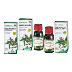 Specchiasol Gemmosol Integratore per Drenare 50ml