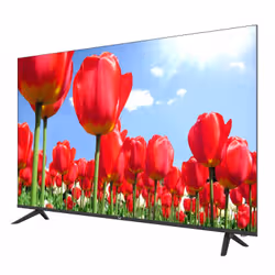New Majestic FL65VD UHD V2 165,1 cm (65") 4K Ultra HD Smart TV Wi-Fi Nero 230 cd/m² - Vista aggiuntiva 2