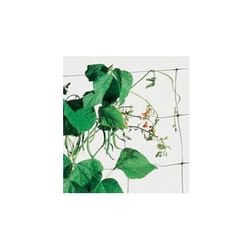 Rete Plastica Flora Mt 2,00X 20 - Tenax