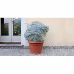 TENAX SPA 73308361 telo protettivo per pianta Trasparente 17 g/m²