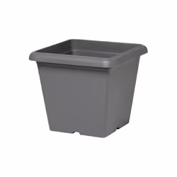 Plastecnic Terrae Vaso Quadro 35 Grigio Fumo, Vaso a cubo, Libera installazione, Polipropilene (PP), Grigio, Quadrato, Intern ...