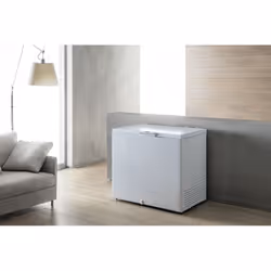 Whirlpool Congelatore a pozzetto - WHS2121